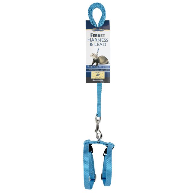 harness for ferrets
