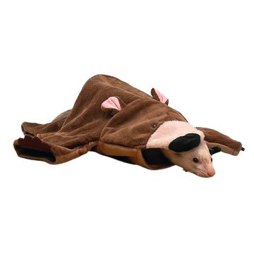 Small Animal Bear Rug