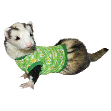 Short Sleeve T-Shirts, assorted