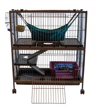 marshall ferret mansion