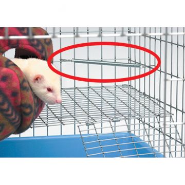 marshall ferret mansion