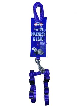 Harness & Lead Set - Blue