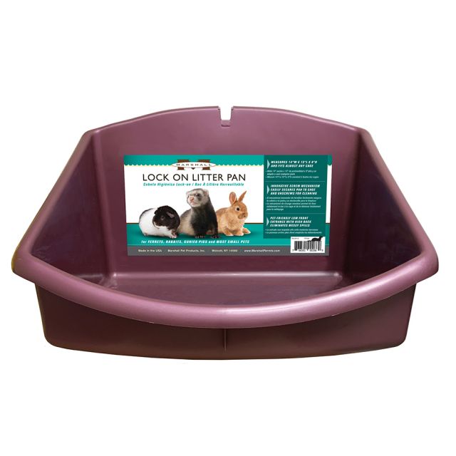 Ferret litter pan clearance