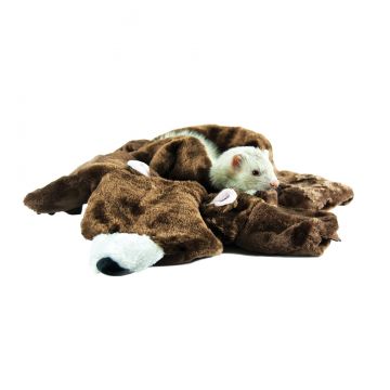 Small Animal Bear Rug