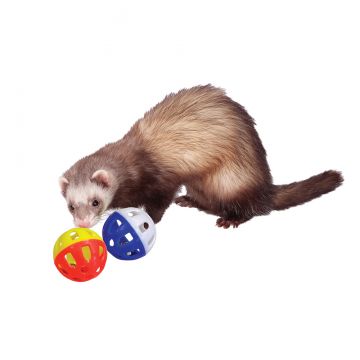 Plastic Bell Toys