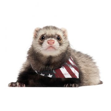 American Flag Bandana