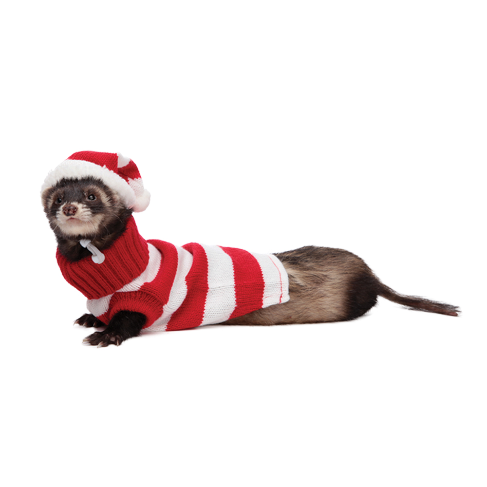 marshallferrets Hat Sweater