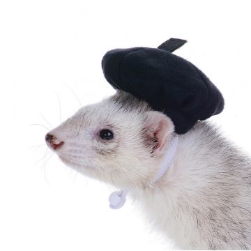 Beret
