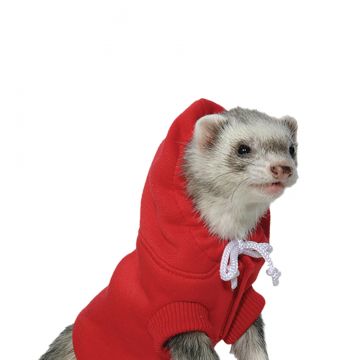 Santa Suit for Ferrets Marshall Pet 