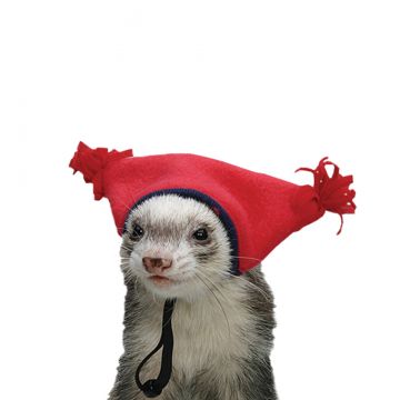 Tassel Hat