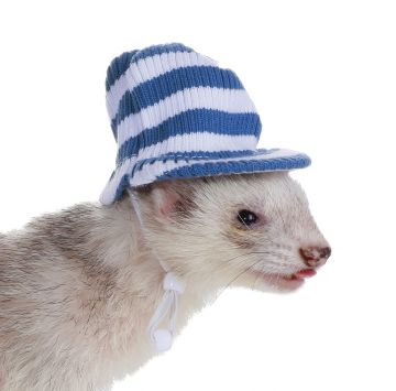 Visor Cap