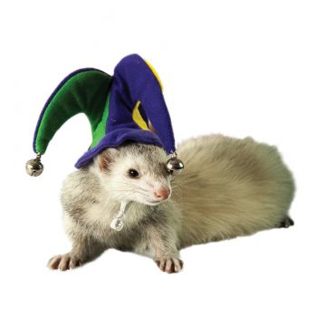 Jester Hat