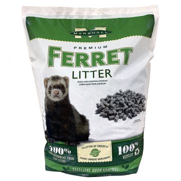 marshall ferret mansion