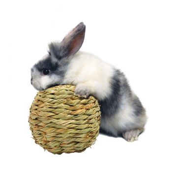 Grass Play Ball