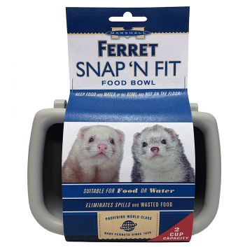 marshall ferret mansion