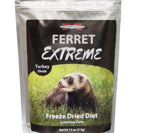 marshall ferret clothes